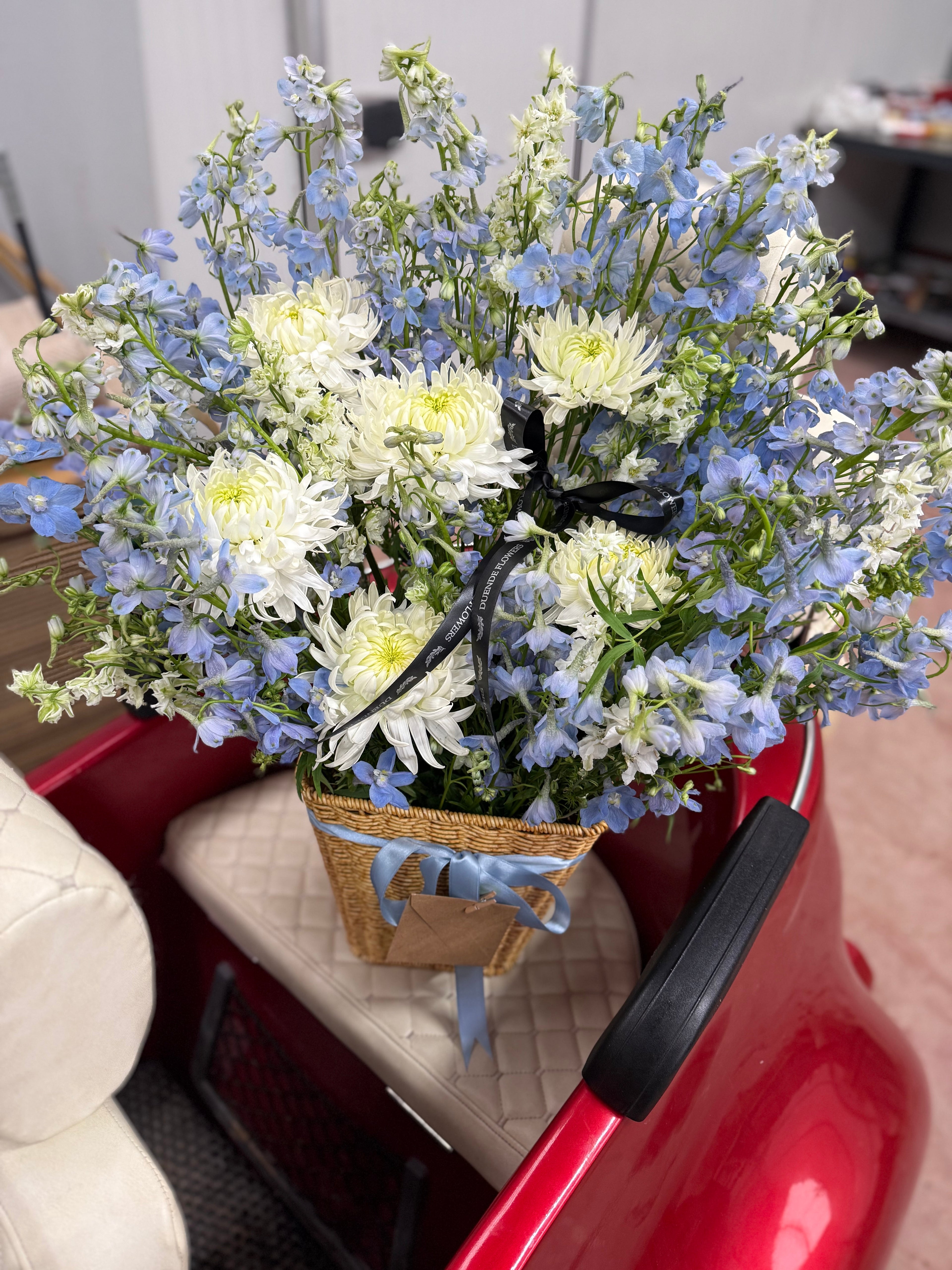 Delphinium&Anastasia