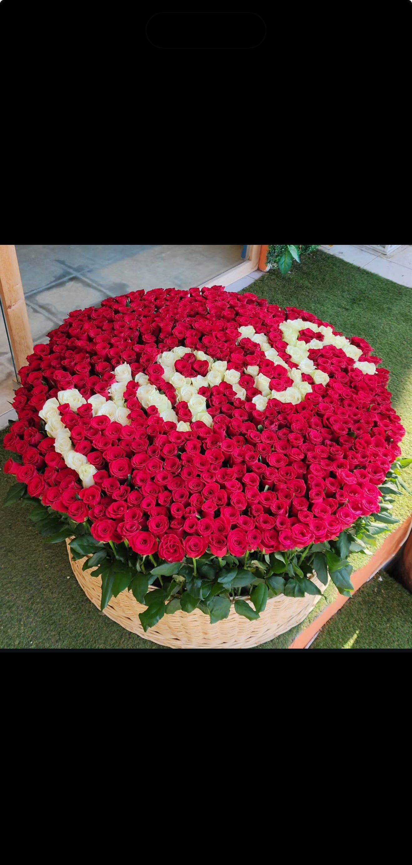 501 Gül Special