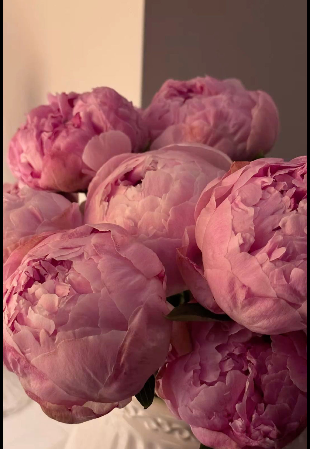 🌸 “Imperial Peony Collection-Şakayık Koleksiyonu