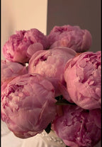 🌸 “Imperial Peony Collection-Şakayık Koleksiyonu
