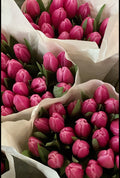 Pink Tulipe Atelier – Kendi Tasarımın